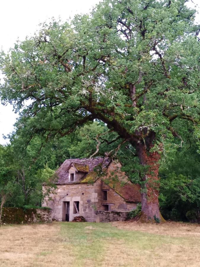 Les Granges De L Abbaye Bed & Breakfast Ginals Bagian luar foto